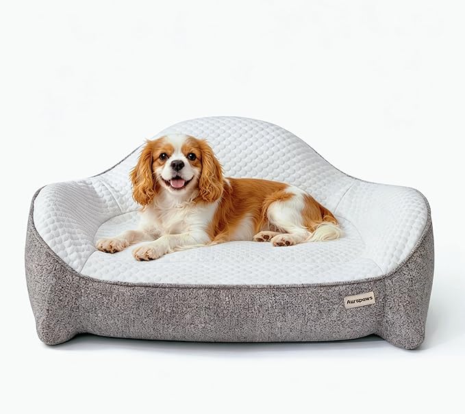 Orthopedic Dog Bed for Medium Small Dogs up to 120lbs, Extra Thick One-Piece Memory Foam Dog Bed, Never Sag Pet Sofa Couch with 3 Removable Washable Covers (Plush, Cooling, Leather) & Toy