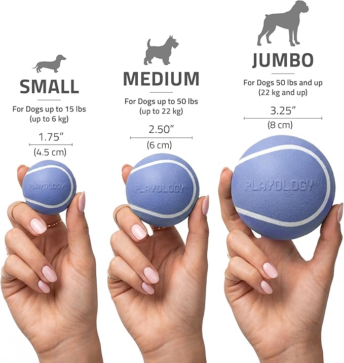 Playology Dog Toys | Squeaky Chew Ball for Large Dogs | Blueberry Scented Jumbo Dog Ball | Bouncy Floating Chew Toys for Fetch