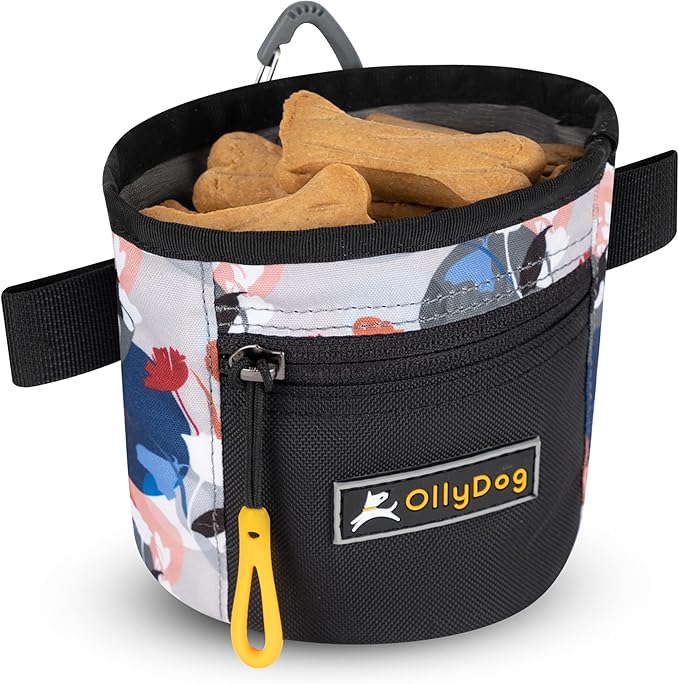 OllyDog Goodie Treat Bag, Dog Treat Pouch, Waist Belt Clip for Hands-Free Training, Magnetic Closure, Dog Training and Behavior Aids, Three Ways to Wear (Fiori)