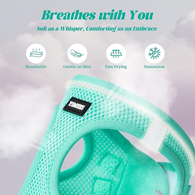 YIMEIS Dog Harness and Leash Set, No Pull Soft Mesh Pet Harness, Reflective Adjustable Puppy Vest for Small Medium Large Dogs, Cats (Tiffany Blue, Small (Pack of 1)