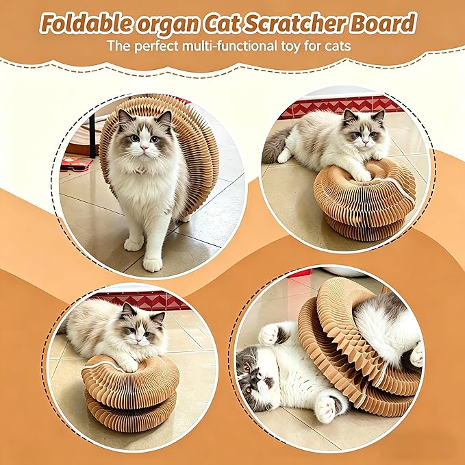 Kitty Curls Cat Toy, Magnetic Magic Organ Cat Scratch Board, Foldable Cat Accordion Toy, Interactive Track Scratcher Pad with Toy Catnip Bell, Durable Eco-Friendly Ring for Play, Chase & Scratch