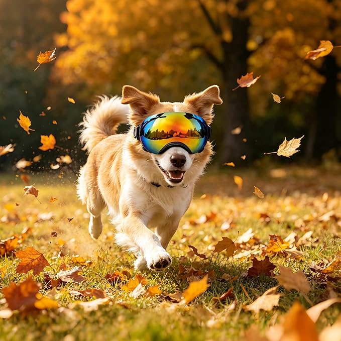 Dog Goggles for Medium to Large Breeds, Stylish Pet Sunglasses with Rainbow PC Lens, Soft TPU Frame & Adjustable Straps, Windproof Dustproof UV Protection Eyewear for Outdoor Riding Hiking (Black)