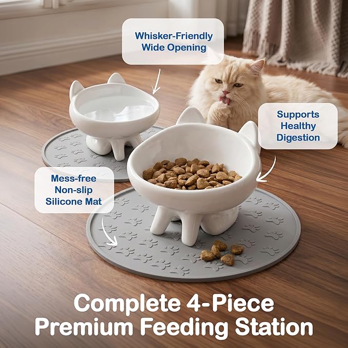 2 Pack Anti-Vomit Elevated Ceramic Cat Bowls with 2 Non-Slip Mats – Ceramic Whisker-Friendly Tilted Orthopedic Feeding Set, Ideal for Senior Cats & Small Dogs