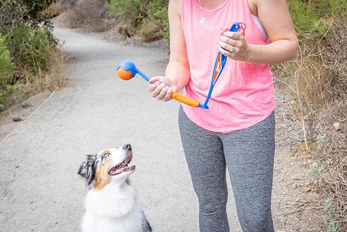Chuckit! Fetch & Fold Mini 18M Dog Ball Launcher - 18" Long Handle Compatible with Medium 2.5" Ball (Included), for Medium Pets 20 to 60 lbs