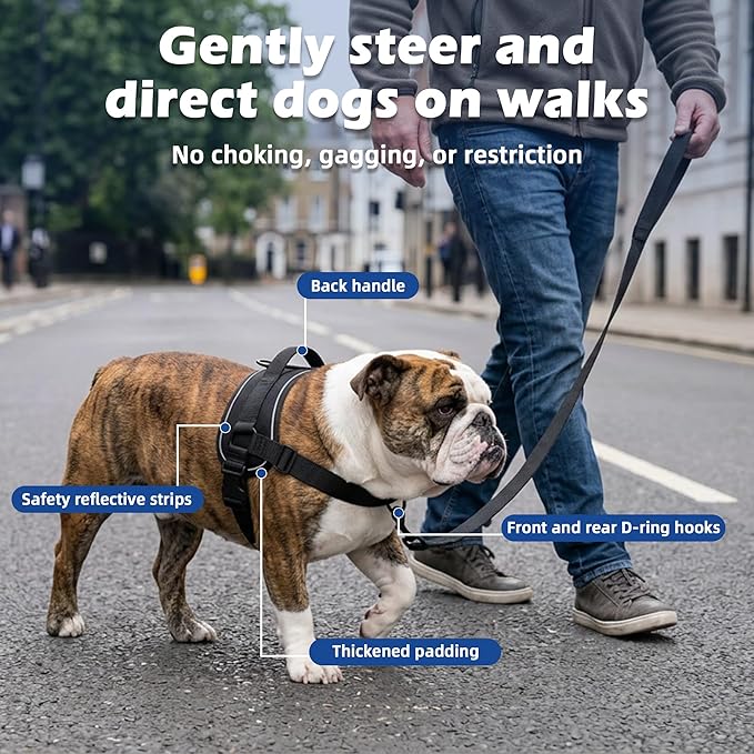 No Pull Dog Harness, Upgraded Padded No-Choke Pet Vest with Front and Back Clips, Effortless Walking Adjustable Dog Gear with Traffic Handle and Reflective Straps for Training (Black,L)