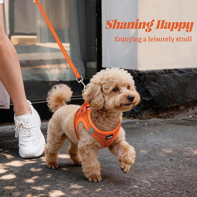 YIMEIS Dog Harness and Leash Set, No Pull Soft Mesh Pet Harness, Reflective Adjustable Puppy Vest for Small Medium Large Dogs, Cats (Orange01, X-Small (Pack of 1)