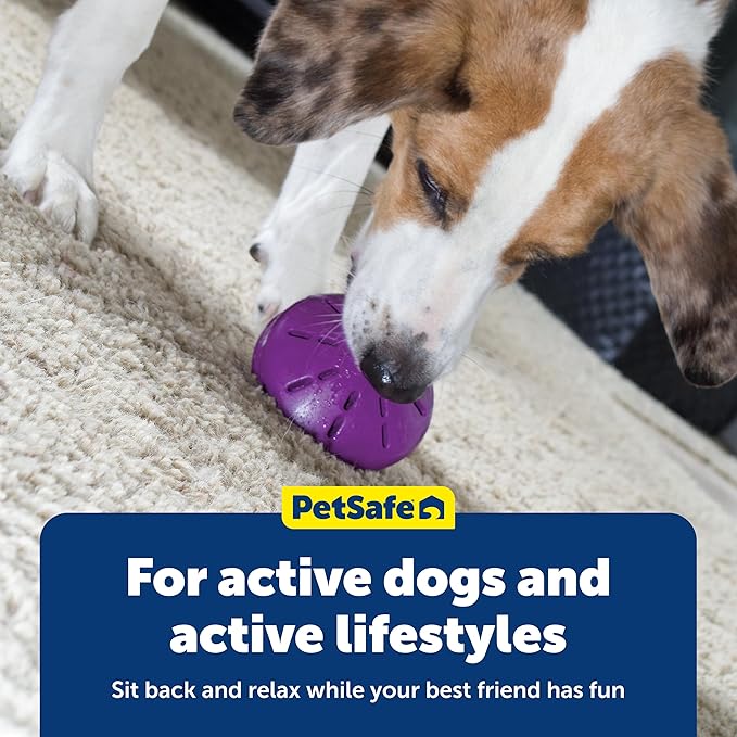 PetSafe Busy Buddy Twist 'n Treat Dispensing Dog Toy - Small