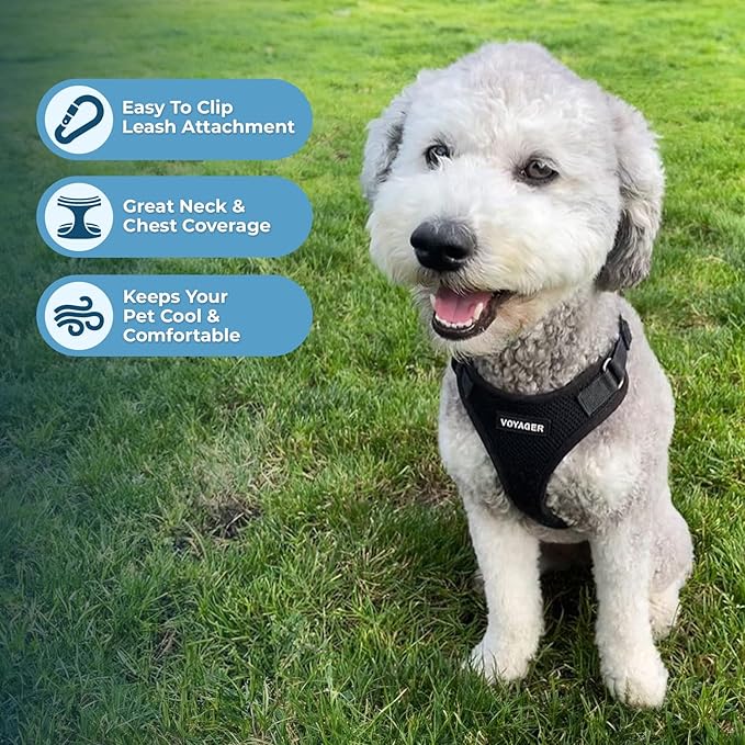 Best Pet Supplies Voyager Step-in Lock Pet Harness w Reflective Pet Leash Combo Set with Neoprene Handle 5ft - Supports Small, Medium and Large Breed Puppies/Cats - Black, S