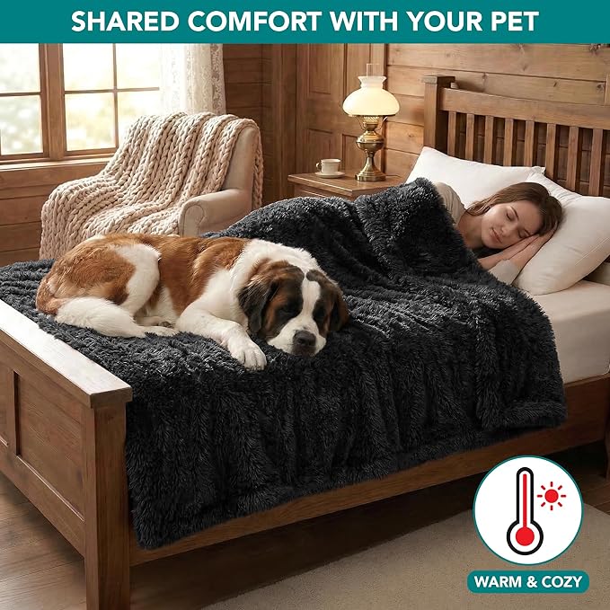 PetAmi Fluffy Waterproof Dog Blanket for Couch and Bed, Reversible Sherpa Pet Throw, Pee Proof Furniture Protector Sofa Cover, Washable Cat Blanket for Medium Large Dogs and Cats (Black, 40x60)