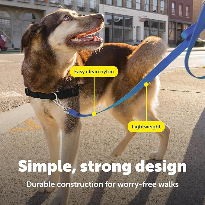 PetSafe Nylon Dog Leash Strong, Durable, Traditional Style Lead with Easy to Use Bolt Snap for Small, Medium and Large Dogs 3/8" x 6', Royal Blue