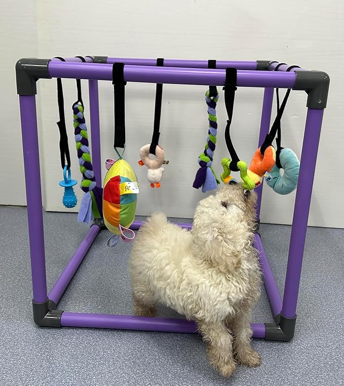 DOZZOPET Puppy Play Gym for Small Dogs with 8 Hanging Toys, Jungle Playground with Interactive Funny Enrichment Toys to Keep Them Busy