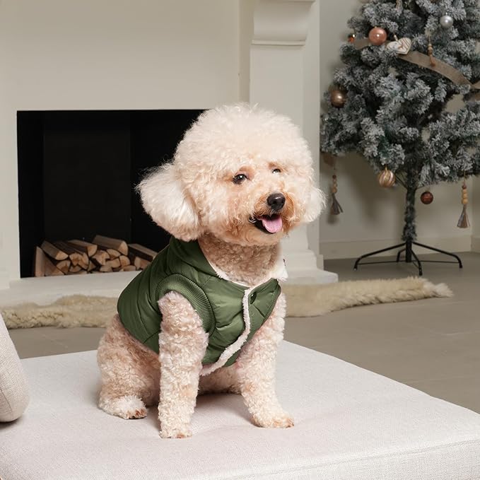 Vecomfy Fleece Lining Extra Warm Dog Hoodie in Winter for Large Dogs Jacket Pet Coats with Hooded Green XXXL