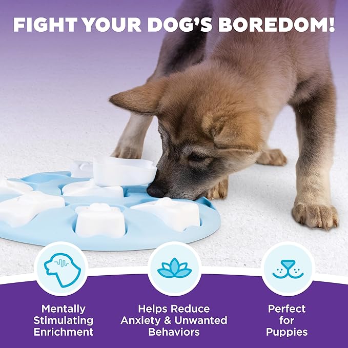 Outward Hound Nina Ottosson Puppy Tornado Dog Puzzle Interactive Treat Puzzle Dog Enrichment Dog Toy for Puppies, Level 2 Intermediate, Pink