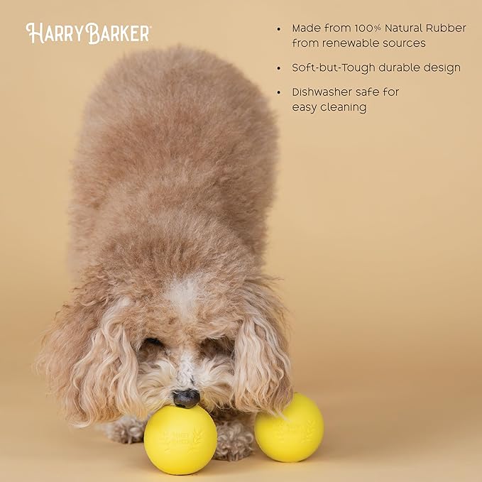 Harry Barker Rubber Balls and Rubber Chew Stick for Dogs