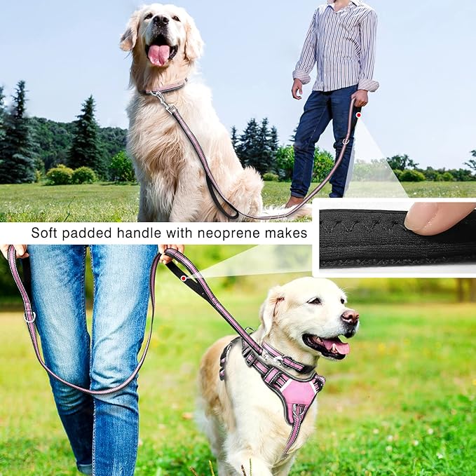 WINSEE Pet Harness Collar and Leash Set, All-in-one Reflective Dog Harness No Pull with Adjustable Buckles for Puppies, Small, Medium, Large, and Extra-Large Dogs (X-Large, Pink)