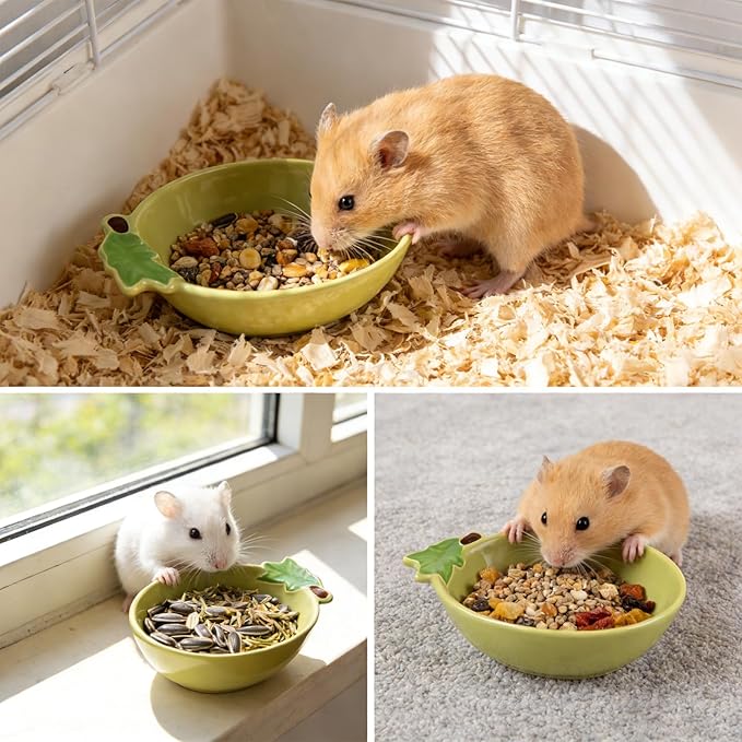 Small Guinea Pig Food Bowl Cute Ceramic Hamster Water Bowl Ferret Rat Chinchilla Rabbit Feeding Dish Young Animal Feeder (Avocado Green)