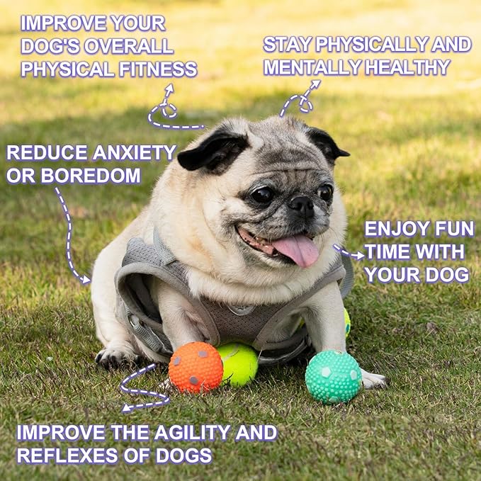 Dog Toy Balls for Small Dogs & Puppies, Chew & Chase Interactive 2” Soft Latex Balls, Durable Dogs Play Balls for Indoor/Outdoor (6 Pcs)