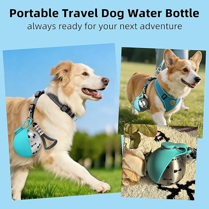 2 in 1 Portable Dog Water Bottle with Foldable Silicone Bowl, 10 Oz Travel Water Bottle for Dogs Drinking, Leakproof Stainless Steel Pet Water Bowl for Outdoor Walking Hiking Camping (Blue no Print)