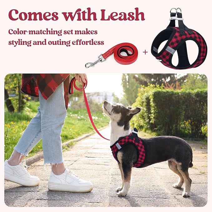 rabbitgoo Dog Harness Small Sized and Leash Set, Step in Soft Light Puppy Vest, Breathable Mesh Pet Harness, Reflective for Safe Easy Walking, Red Check XS