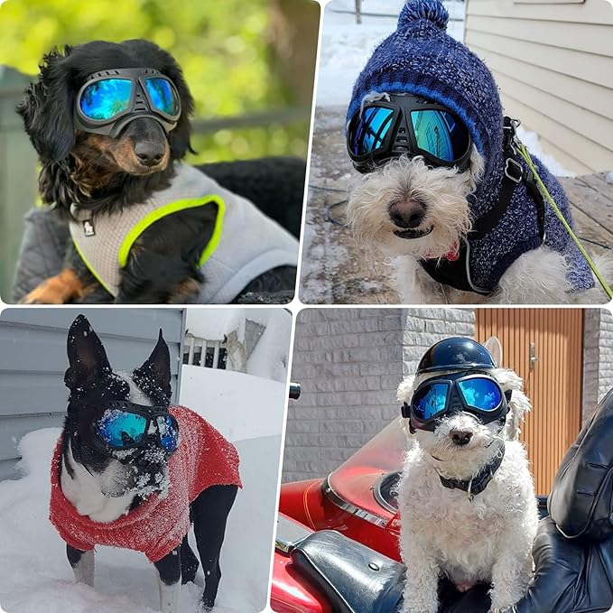 Dog Goggles for Small to Medium Breeds, Small Dog Sunglasses UV Protection Windproof Snowproof, Outdoor Driving/Riding/Hiking Pet Eyes Protection, Soft Frame Adjustable Straps, Blue Lens