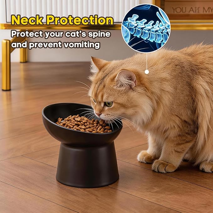 Ceramic Raised Cat Bowls - Elevated Tilted Cat Food and Water Bowls Set, Anti Vomiting and Protect Pets' Spines Pet Feeding Dish for Cats, Dishwasher Microwave Safe (2 x Bowl - Black)
