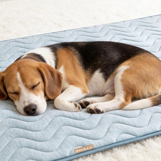 PPOLCA Waterproof Cooling Mat for Large Dogs - Q-MAX>0.5, Thin Memory Foam Kennel Dog Crate Bed, Portable Non-Slip & Machine Washable Dog Pad for Indoor & Outdoor 23x35, Blue
