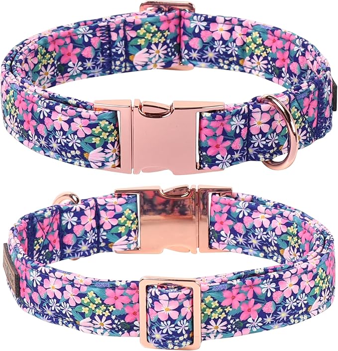 Lionet Paws Floral Dog Collar with Sailor Bow, Spring Wildflowers Daisy Fleabane Dog Collar Bow Tie for X-Large Dogs, Neck 16-26 inches