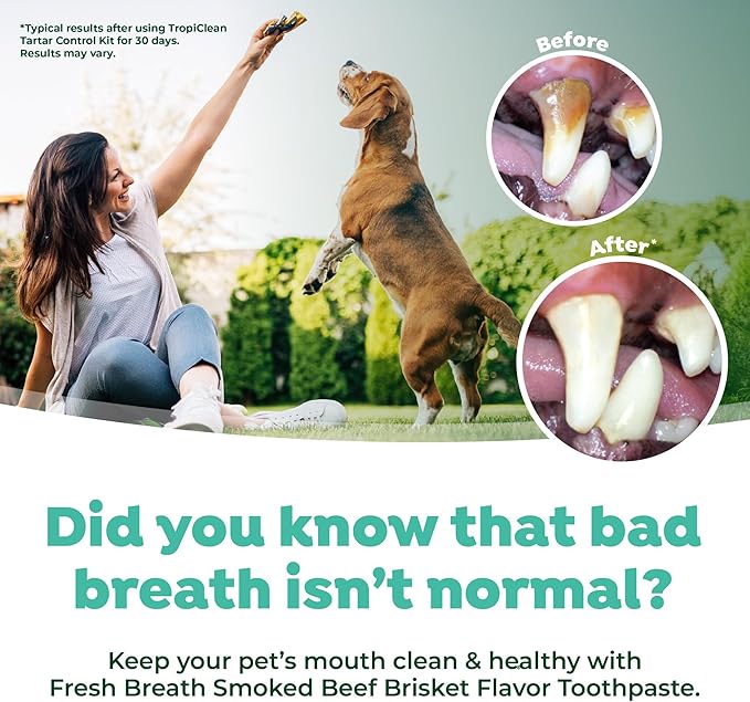 TropiClean Fresh Breath Oral Care Kit - Soft Bristle Finger Toothbrush - Dog Tooth Brushing Kit - Beef Brisket Flavor Dog Toothpaste