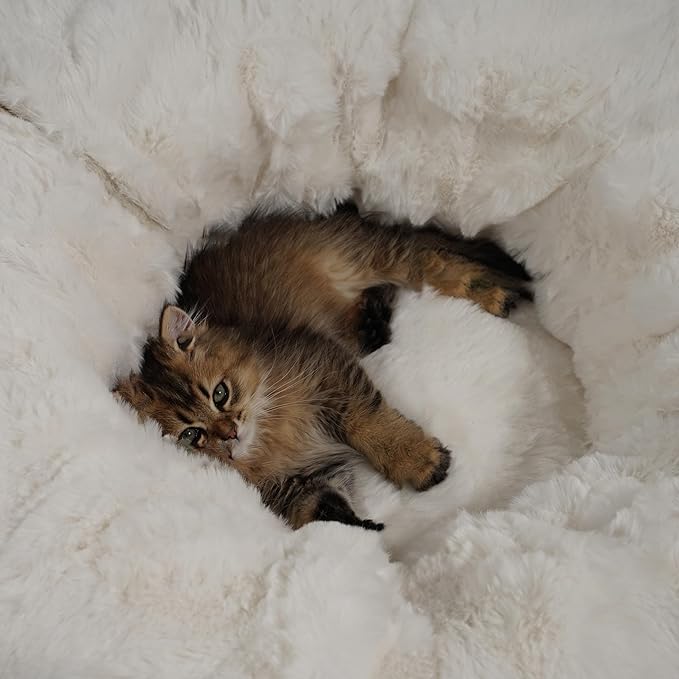2 in 1 Luxury Plush cat Tunnel with cat Bed for Small Medium Large Cats,Multifunctional Cat Toys.