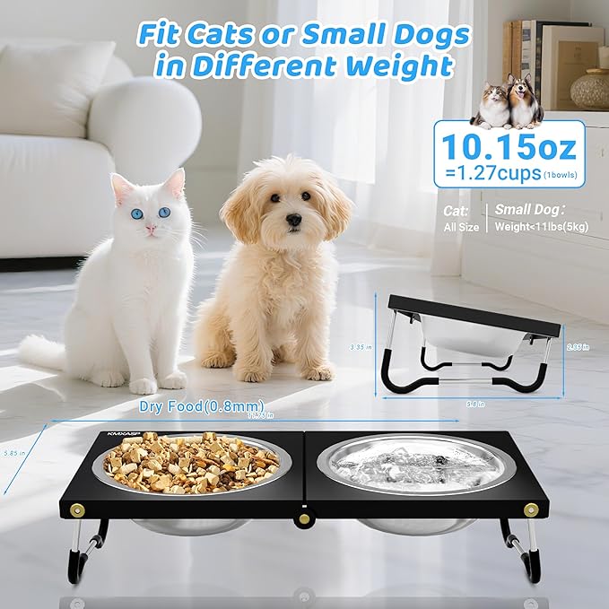 Upgraded Elevated Cat Bowls,10°Tilted Foldable Stand Anti Vomiting Raised Cat Dishes for Food and Water,2 Stainless Steel Bowls for Cats and Puppy (1 Pack)