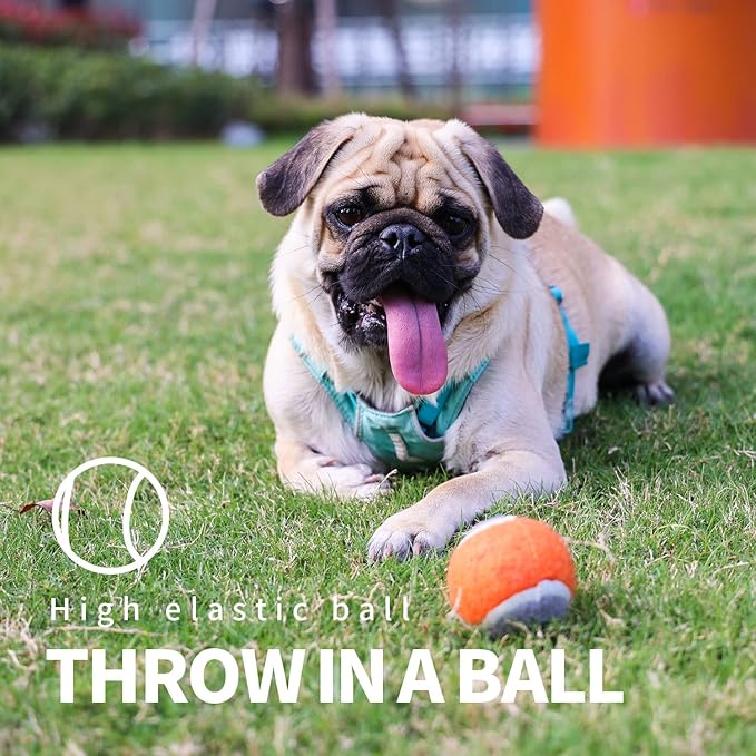 PAWISE Dog Ball Launcher for Medium Dogs, 12.2" Dogs Fetch Toy with 2.5" Tennis Balll, Portable Dog Tennis Ball Thrower for Indoor & Outdoor Play, Lightweight, Durable & Hands-Free Pick-Up