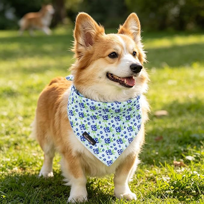 ARING PET Blueberry Dog Bandanas, Cute Blue Pet Bandana Scarf Triangle Bib for Small Medium Large Boy Girl Dogs Cats, Puppy Kerchief for Daily Wear Walks Party Photos-S