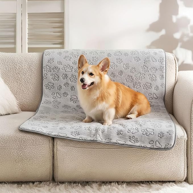 Dog Blankets for Small, Medium Dogs, Puppy Blanket Washable, Dogs Essentials for Puppies, Cat (2, 32" x 24")