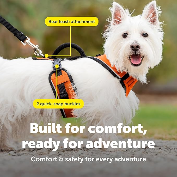 PetSafe EasySport Dog Harness Adjustable Padded Dog Harness with Control Handle and Reflective Piping Small, Orange