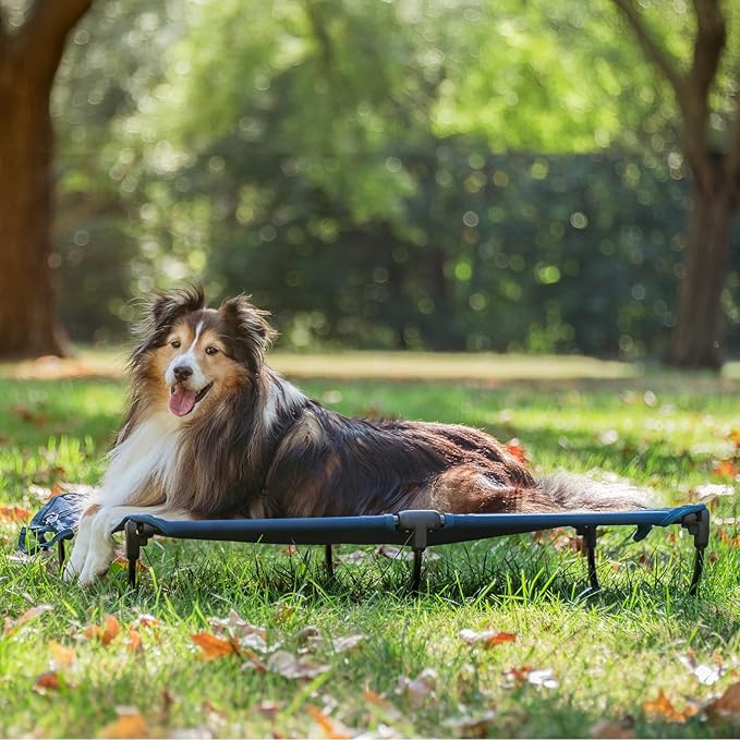 CANINE CANYON Daisy Cot, Medium Foldable Elevated Dog Bed, Portable Raised Outdoor Folding Dog Cot, Cooling, Chew Proof, Waterproof, Heavy Duty Up to 160 Lbs for Camping/Home, Dark Blue, 32"x 19"x6"