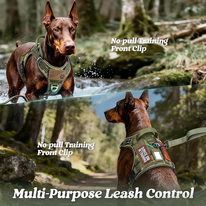 rabbitgoo Dog Harness for Small Dogs No Pull, Tactical Service Pet Vest with Molle and Control Handle, Adjustable and Reflective Military Harness for Easy Walking and Training, Green Camo, S