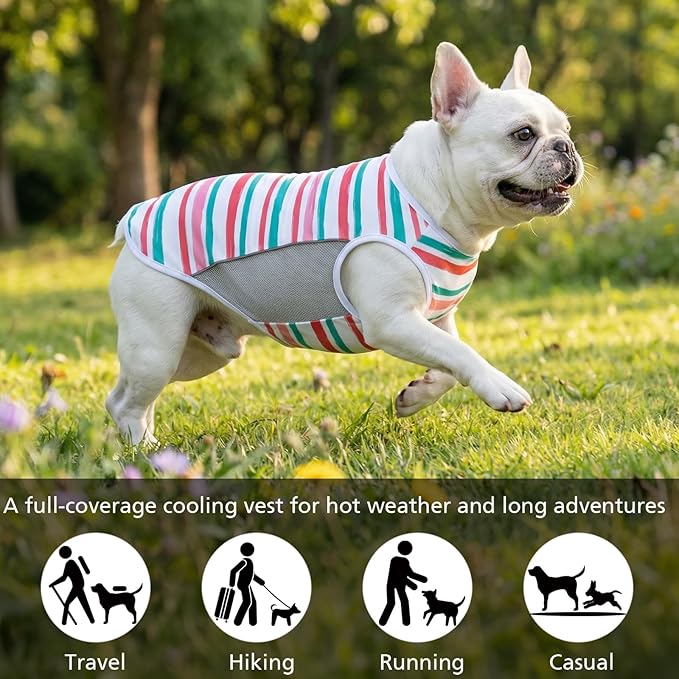 UPF 50+ Sun Protection Dog T-Shirt, 2 Pack Lightweight Sleeveless Dog Vest for Small Medium Dogs Girl – Reflective Strips, Quick-Dry Pet Apparel, Sports Fan Shirt P23ST00512XL