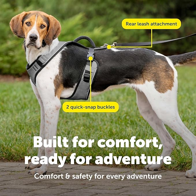 PetSafe EasySport Dog Harness - Padded, Adjustable Dog Harness with Control Handle and Reflective Piping - Great for Active Dogs - from the Makers of the Easy Walk Harness - Large, Charcoal