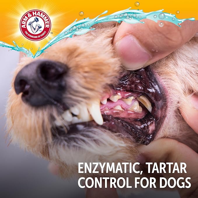 Arm & Hammer Complete Care Dog Dental Kit Enzymatic Toothpaste 2.5 OZ Chicken Flavor Toothbrush Finger Brush Tartar Baking Soda Formula