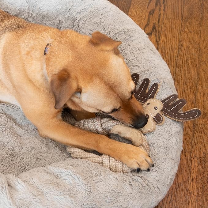 SPOT Dura-Fused Leather Animal Rings - Rope Dog Toy, Made with Real Leather and Jute Fabric, Durable Rope Ring is Great for Tugging and Chewing - 11in, Assorted Styles, 1 Piece