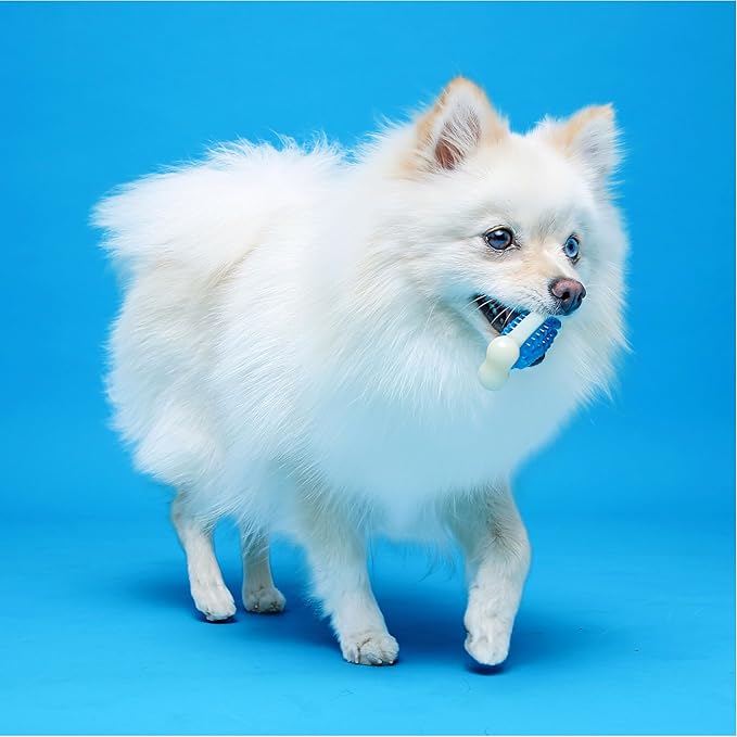 Hartz Chew 'n Clean Tuff Bone Bacon Scented Dental Dog Chew Toy - Large (Pack of 2)