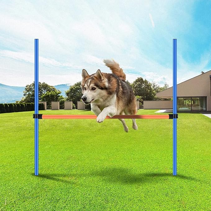PAWISE Dog Agility Training Equipment,Pet Training Hurdles & Weave Poles Set with Adjustable Jump Bar,Outdoor Dog Obstacle Course for Backyard Exercise, Portable Dog Agility Kit for Shepherd Malinois