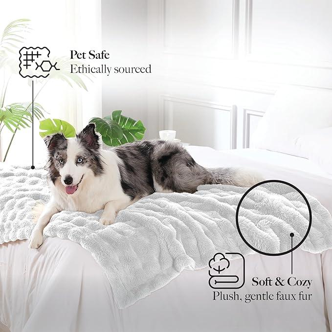 Modern Threads Water-Resistant Faux Rabbit Fur Pet Blanket for Dogs & Cats – Ultra-Soft Couch, Bed & Crate Protector, 40x50 White