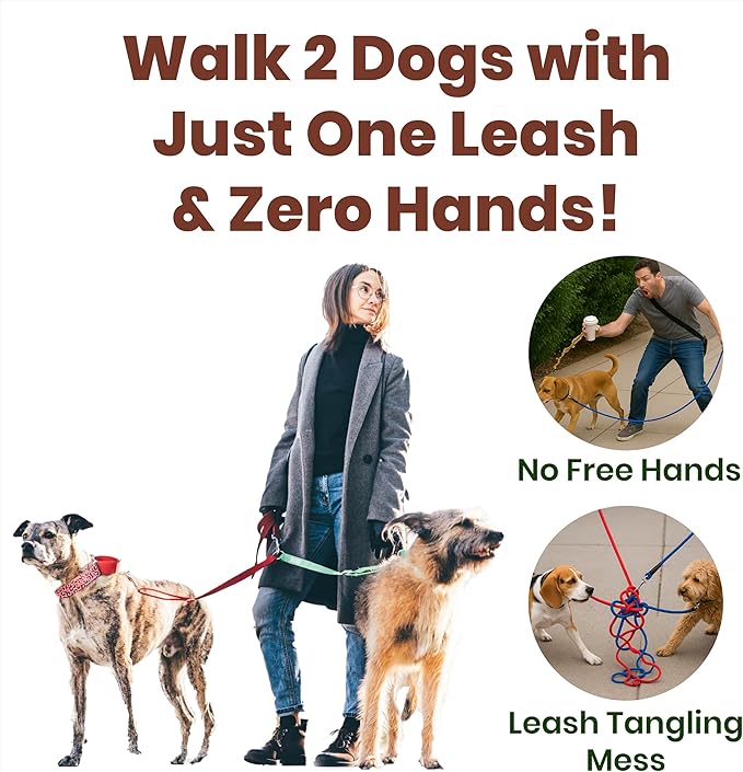 Hands-Free Dog Leash for 2 Dogs - Dual Tangle-Free Running Leash with Shock Absorbing Bungee, Padded Handles, & Waist Belt Pouch - Freedom No Pull Dog Harness Compatible