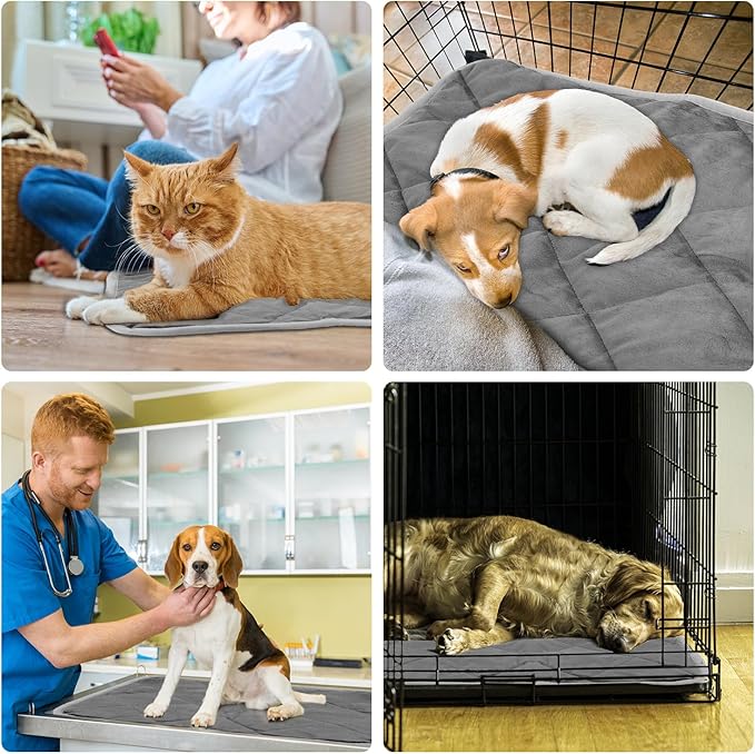 Lasuroa 2pcs Self Heating Cat Mat, 16x20 Inch Pet Pad, Heat Reflective Soft Layer Warming Cat Bed Mat, Non Skid Thermal Pads for Puppy, Rabbit in Winter (Gray)