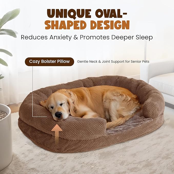 Orthopedic Dog Bed for Large Dogs, X-Large, Memory Foam, Removable Washable Cover, Bolstered Sides, 43L x 31W x 7.1H inches, Designed for Senior Dogs, Coffee, Oval
