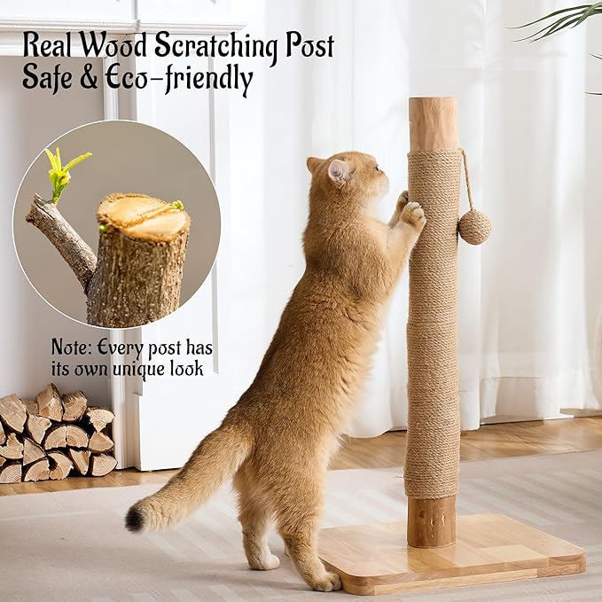 29" Tall Solid Wood Cat Scratching Post for Indoor Cats, Extra Stable Heavy Base, Natural Sisal Scratcher with Hanging Ball, Furniture Protector for Kittens & Adult Cats, Beige