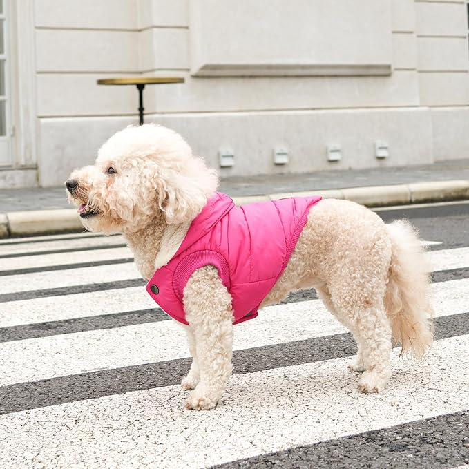 Vecomfy Fleece Lining Extra Warm Dog Hoodie in Winter,Small Dog Jacket Puppy Coats with Hooded Pink S