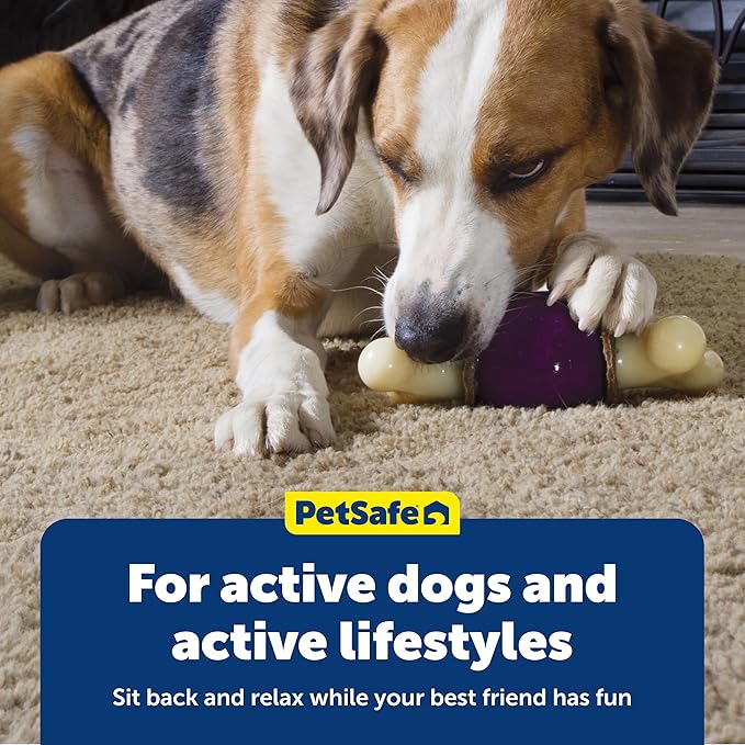 PetSafe Busy Buddy Bouncy Bone, Treat Holding Dog Toy, Small, Best for Dogs Up to 10 Lb.