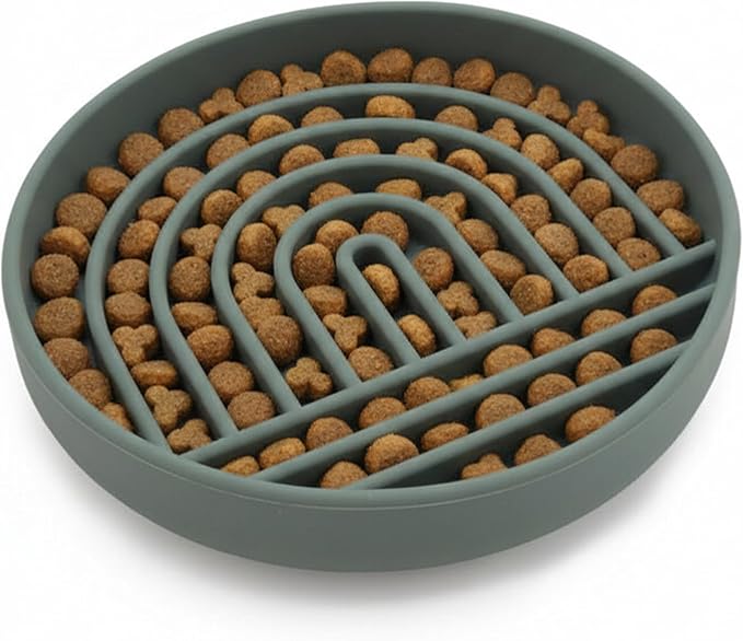 Should We Go? Slow Feeder for Dogs & Cats, The Slowdown Bowl Silicone Slow Eating Mealtime Solution with Modern Lick Mat Design, Reduces Gulping, Fits 1 Cup, 6” Across x 1.25” Tall, Small-Spruce